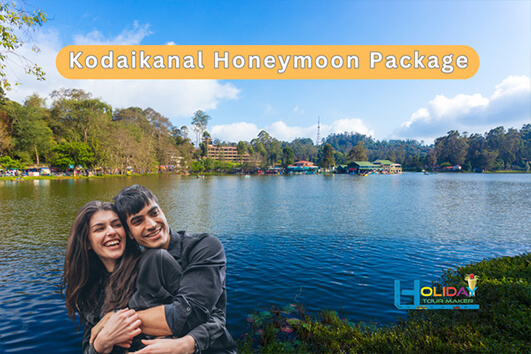 holiday tour maker ooty