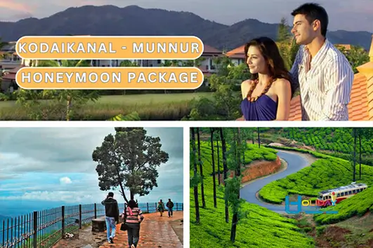 Tea estates Munnar and Kodaikanal honeymoon trip