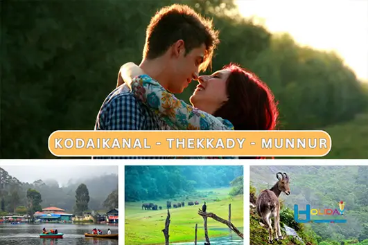 Wildlife Thekkady and Kodaikanal honeymoon